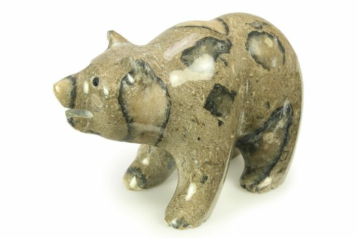 Realistic Polished Fossil Staghorn Coral Bear - Philippines #308429